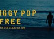 Free es el nuevo álbum de Iggy Pop